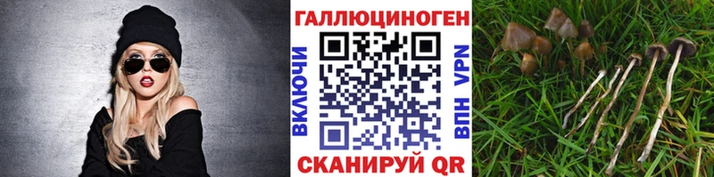 Купить  Берёзовский  Псилоцибиновые грибы MAGIC MUSHROOMS 